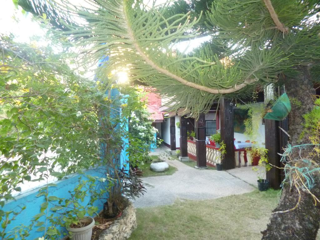 Casakeja Inn Panglao Exterior photo