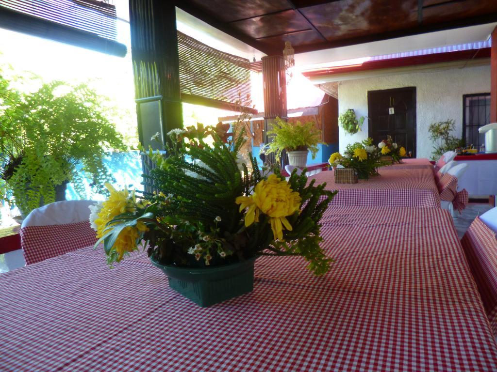 Casakeja Inn Panglao Exterior photo